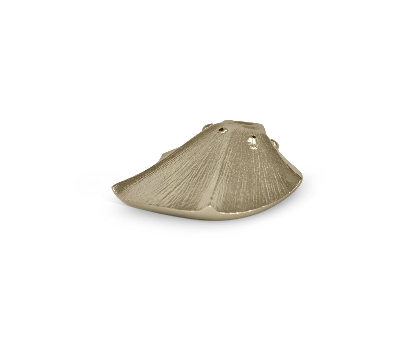 Buy Brass Shankh Incense Holder - Natural form and Texture - Taamaa