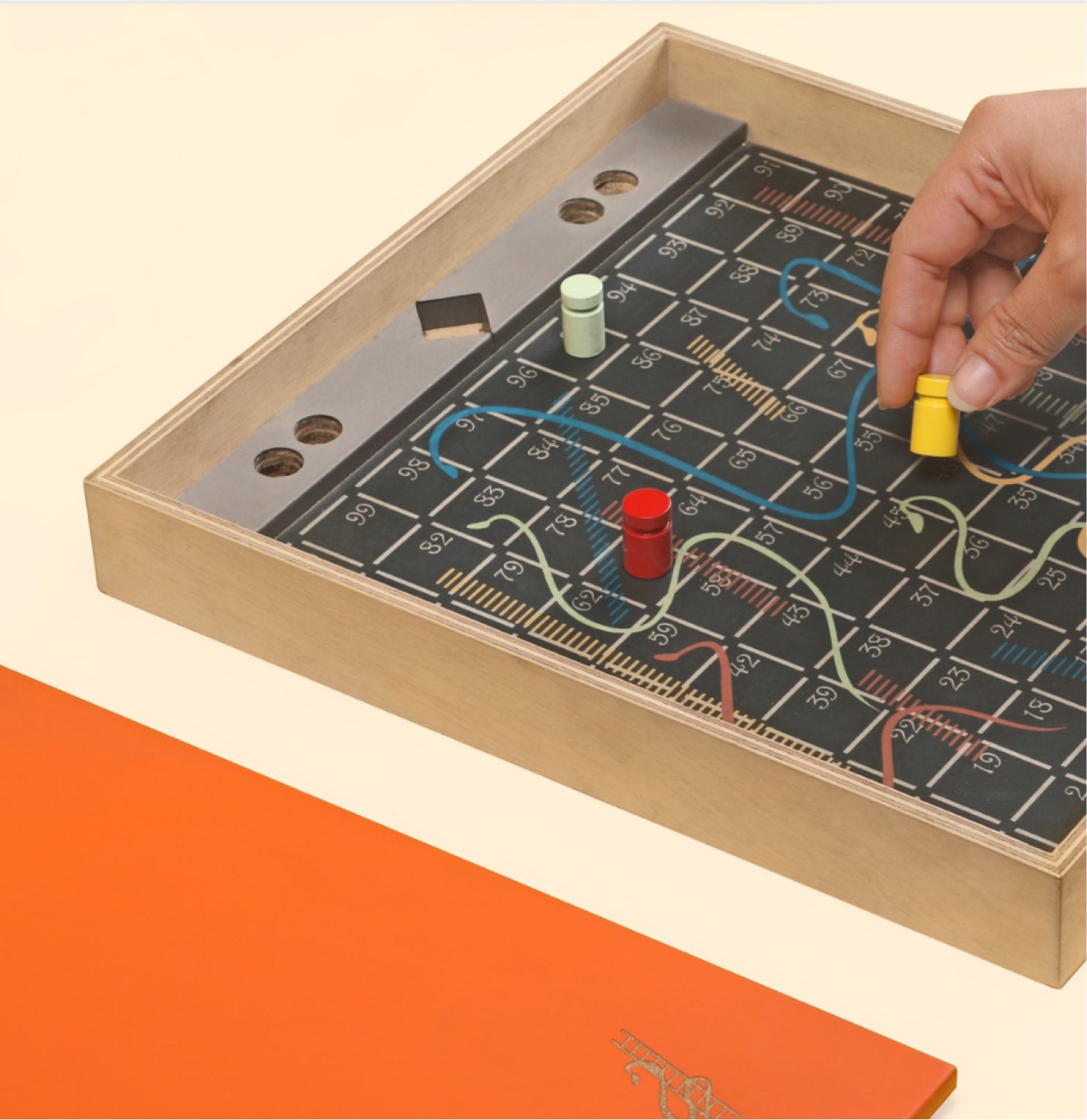 Snake-and-Ladder-Game-Taamaa